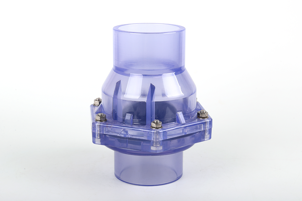 伊川透明翻板式止回阀